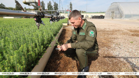 Лукашенко назвал важнейшие задачи, стоящие перед лесным комплексом Беларуси