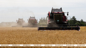 Lukashenko wants several tasks completed before mass harvesting campaign begins