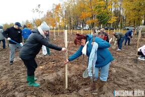 More than a hundred fruit trees were planted in the Sennensky boarding house as part of the campaign "Let's restore the orchard together"