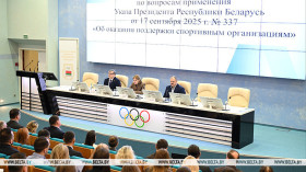Belarus’ NOC discusses support mechanism for sports organizations