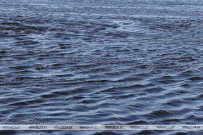 A drowned man was found in a lake in the Ushachsky district