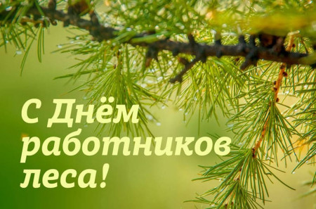 Уважаемые ветераны и работники лесного хозяйства! Примите искренние поздравления с профессиональным праздником!