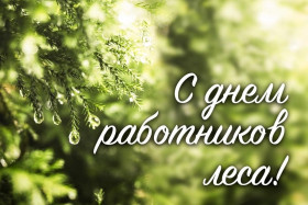Руководство Шумилинского района адресует поздравление с Днем работников леса