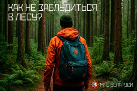 Как не заблудиться в лесу