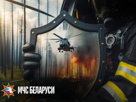 В Шумилинском районе пройдет специальное профилактическое мероприятие «Зелёный щит»