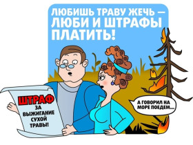 Палы сухой травы: опасность и ответственность!