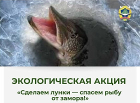 Сделаем лунки - спасём рыбу от замора!