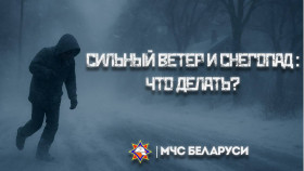 Сильный ветер и снегопад: что делать?